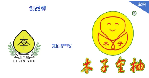 1725268430751282.png image.png