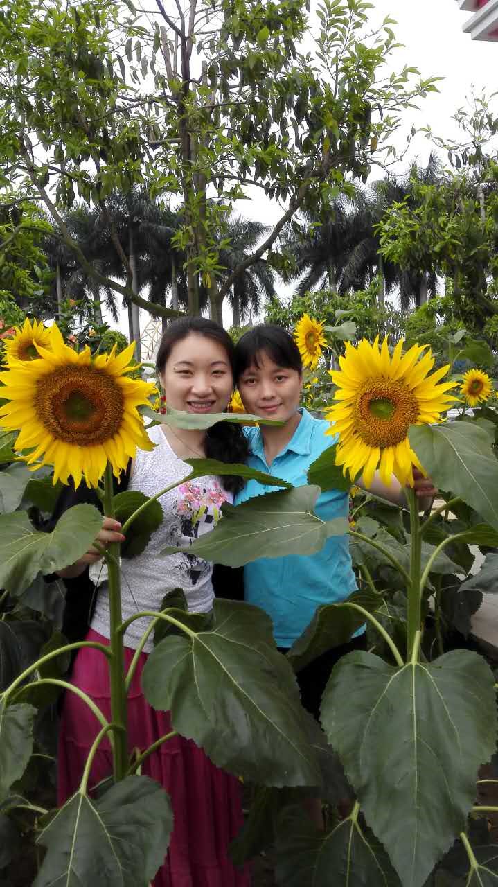 1446535867677714.jpg WeChatImage635811464457637725.jpg